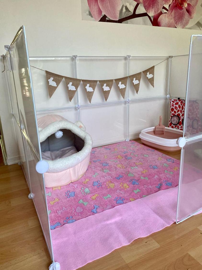 Bunny enclosure