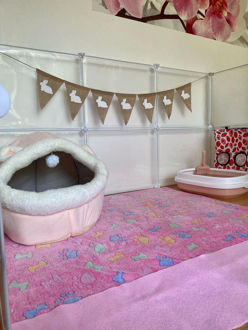 Bunny enclosure
