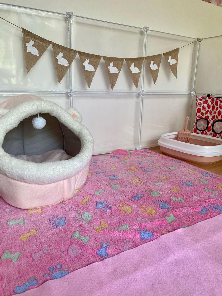 Bunny enclosure