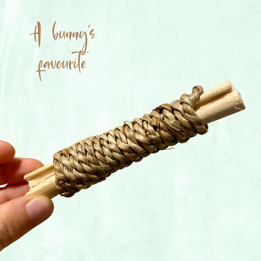 Bâtonnets sucrés en bambou et herbe de mer torsadée (coup de coeur)