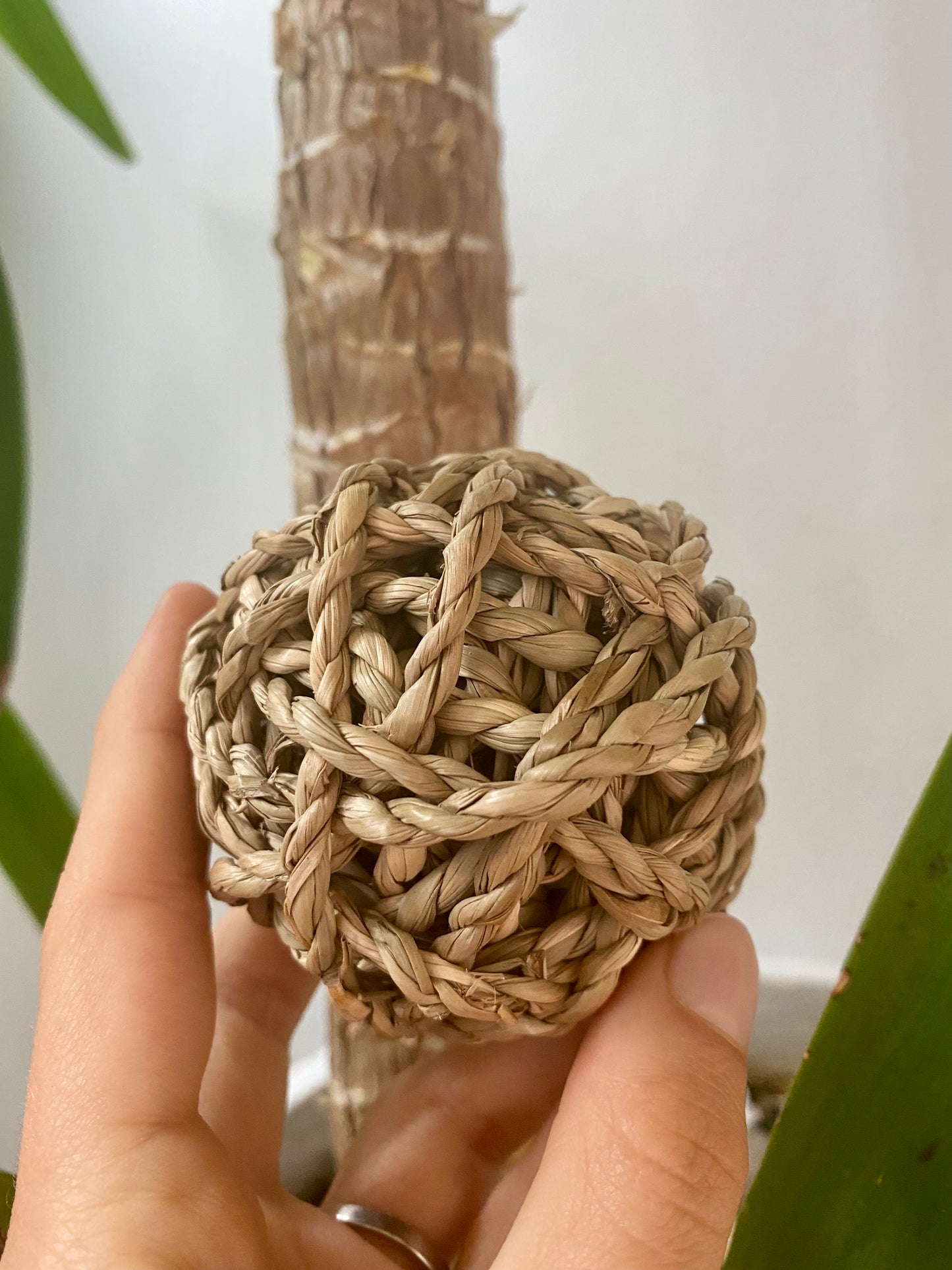 100% natural chew ball for bunny