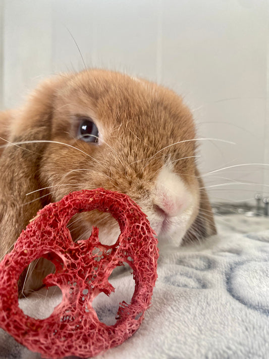 Natural Strawberry Loofah 🍓