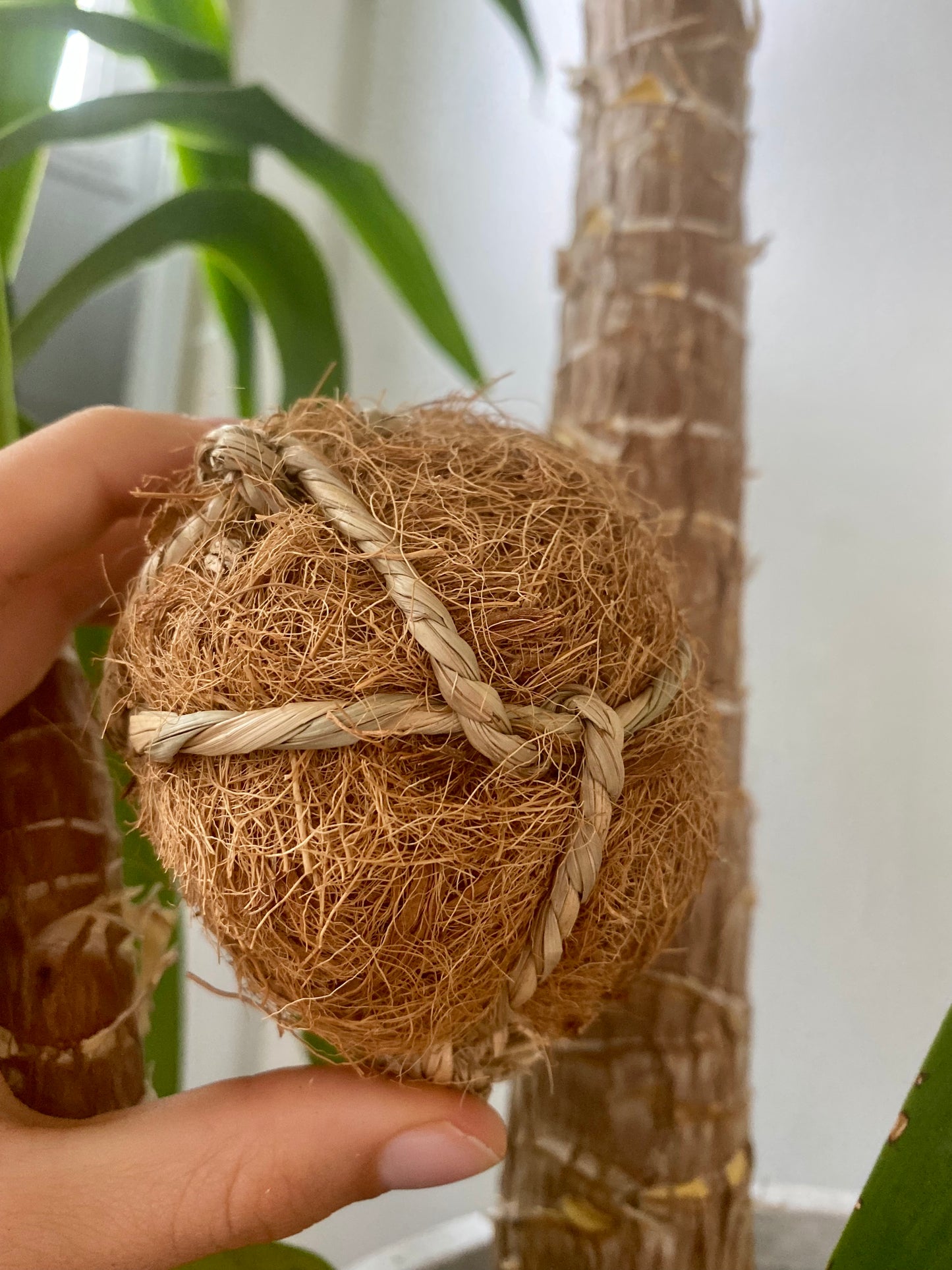 100% natural chew ball for bunny