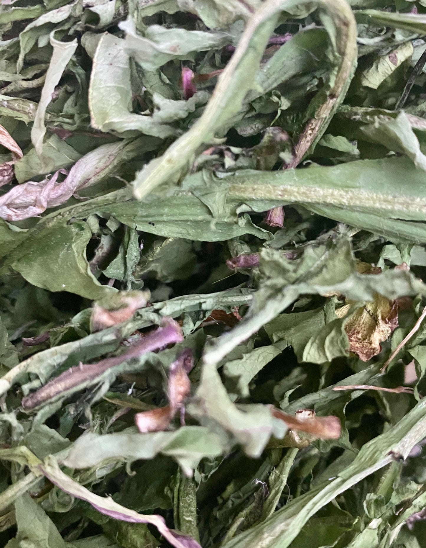 Feuilles de pissenlit déshydratées - Produit du Québec