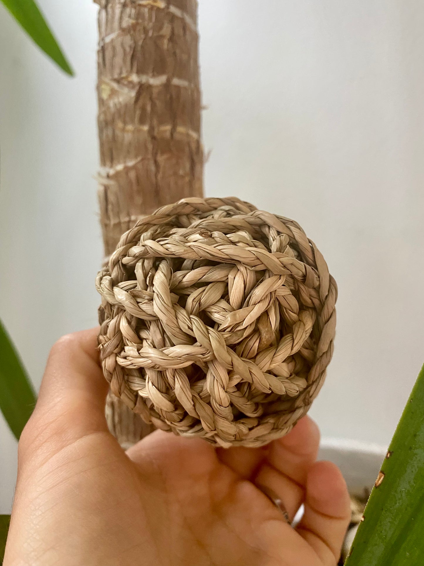 100% natural chew ball for bunny