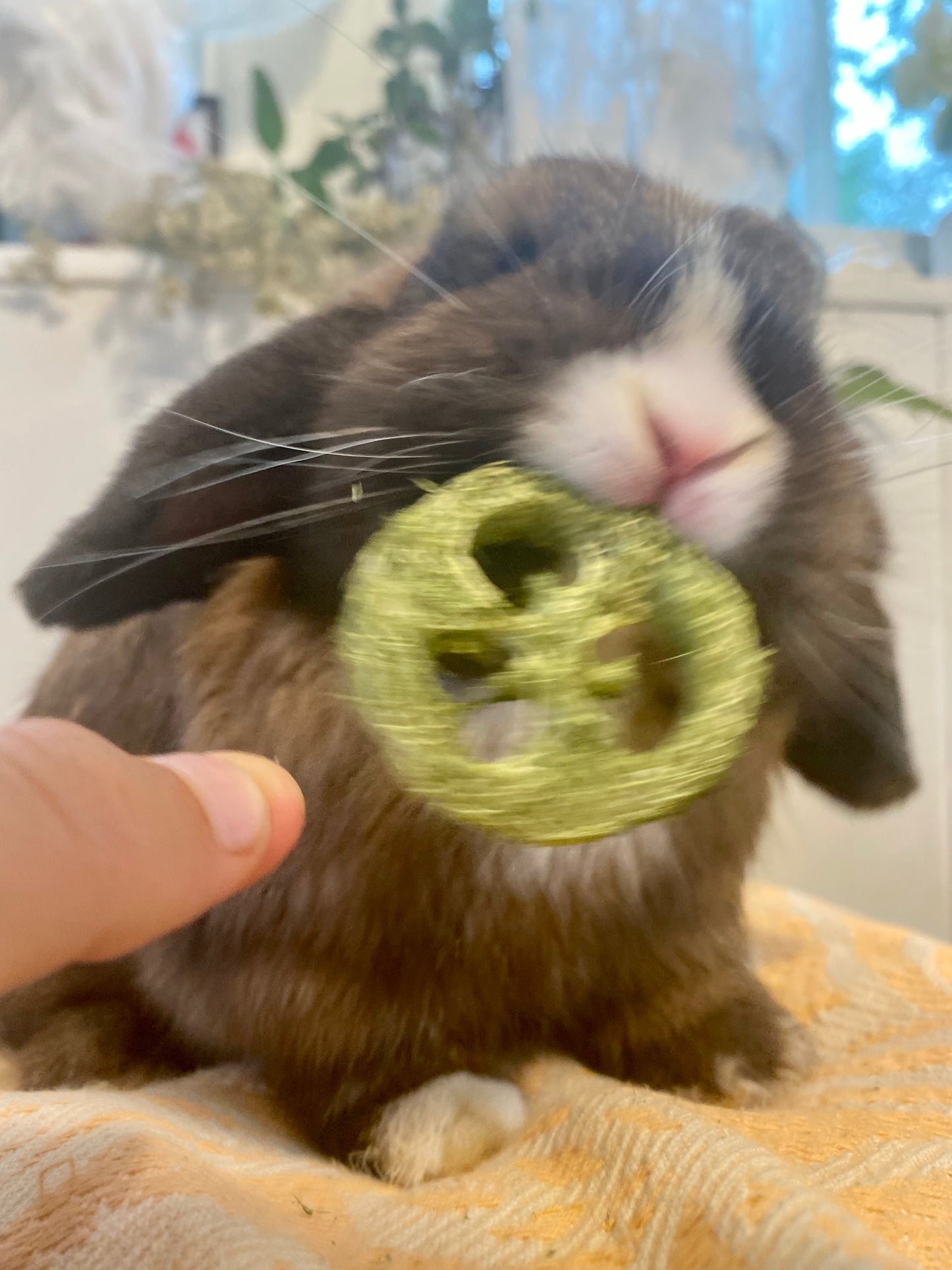 100% natural grass loofah