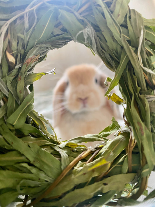 Handwoven willow ring