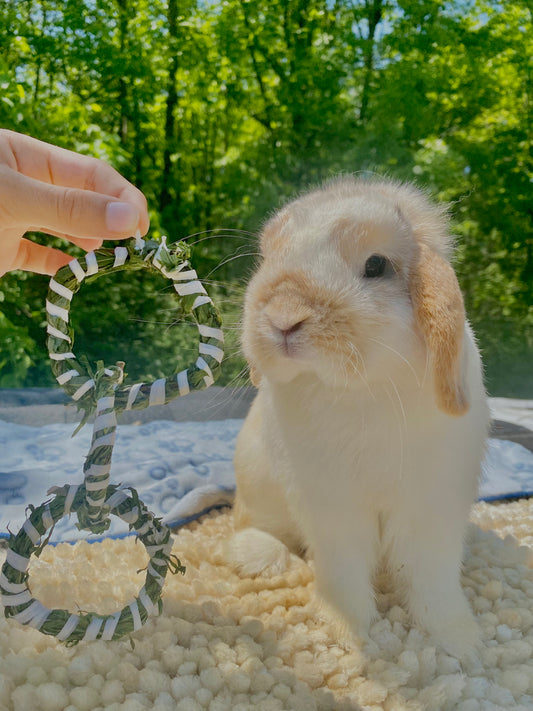 The triplet - natural willow rings