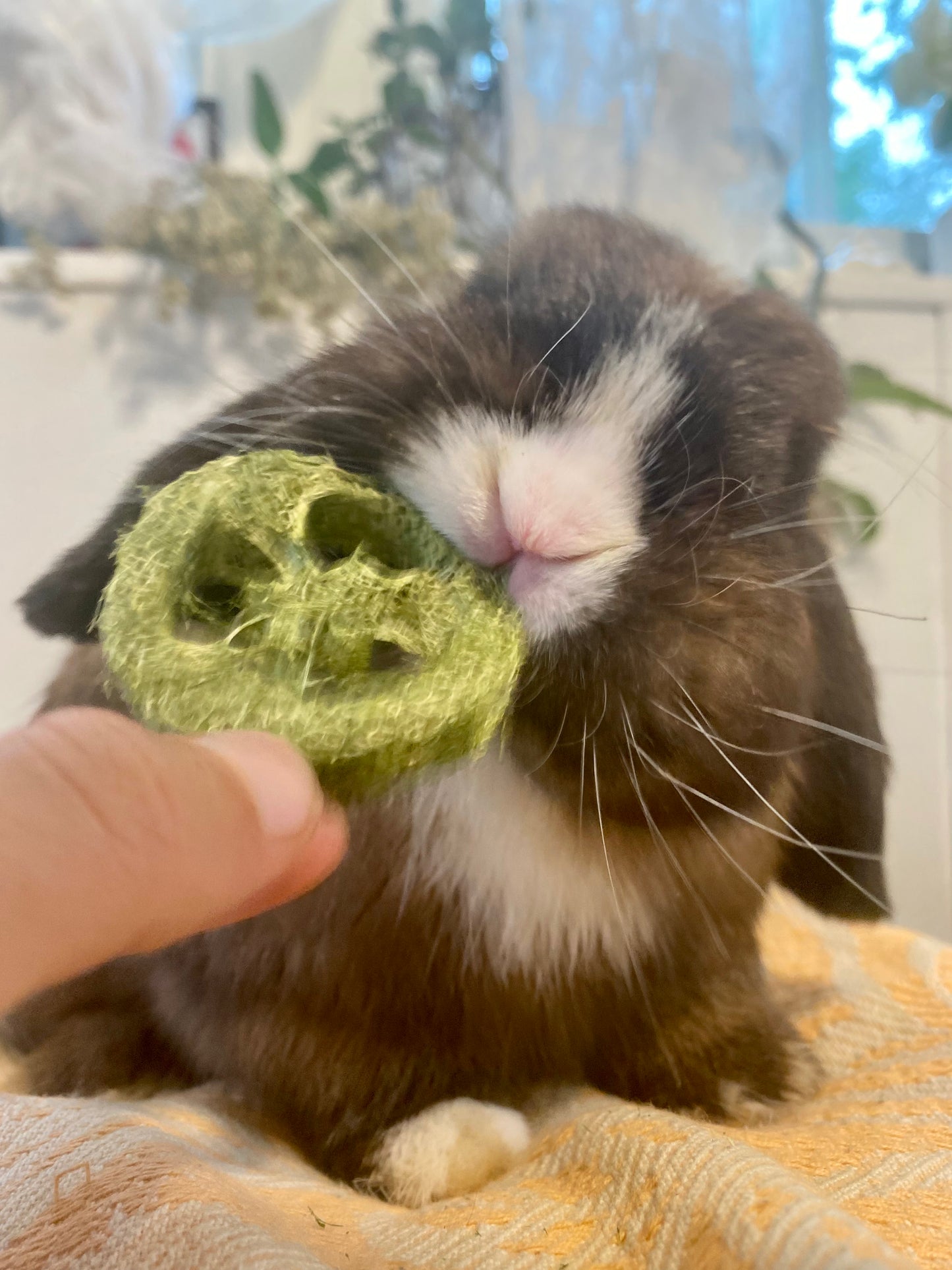 100% natural grass loofah