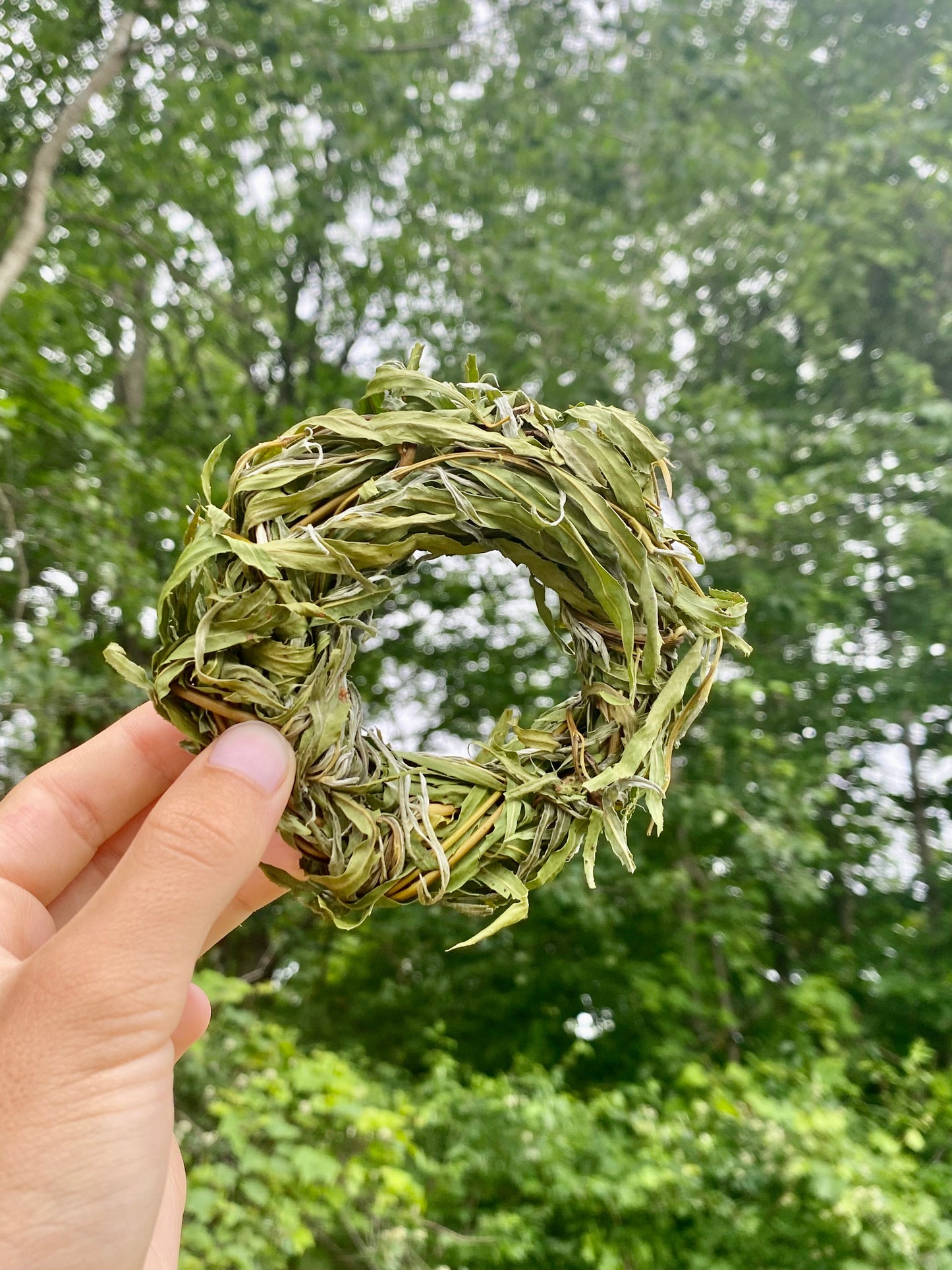 Handwoven willow ring