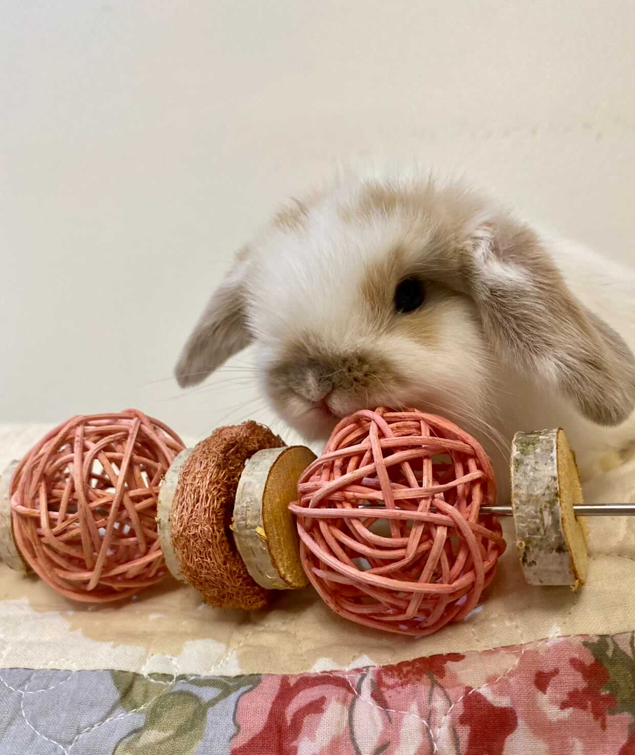Le festin fruité