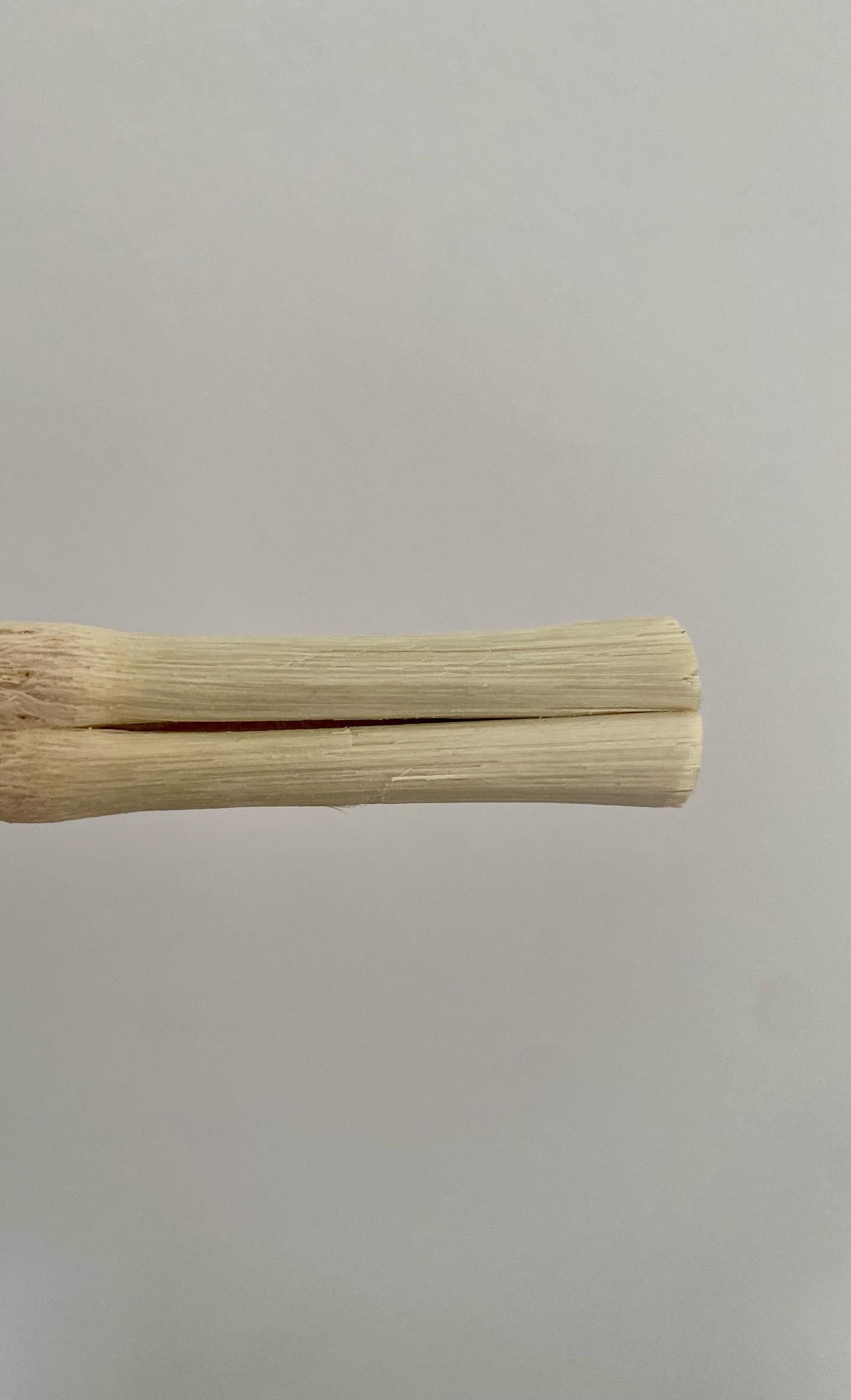 Natural bamboo sticks