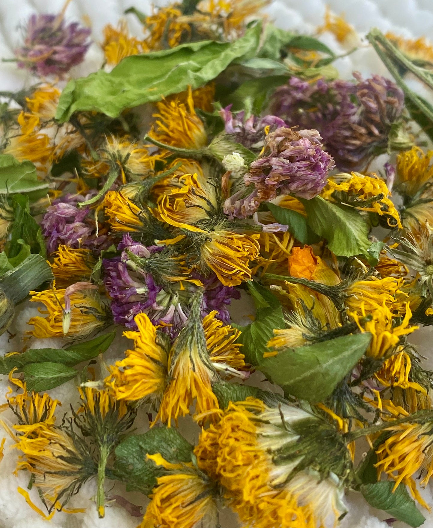 Fleurs naturelles séchées 🌸