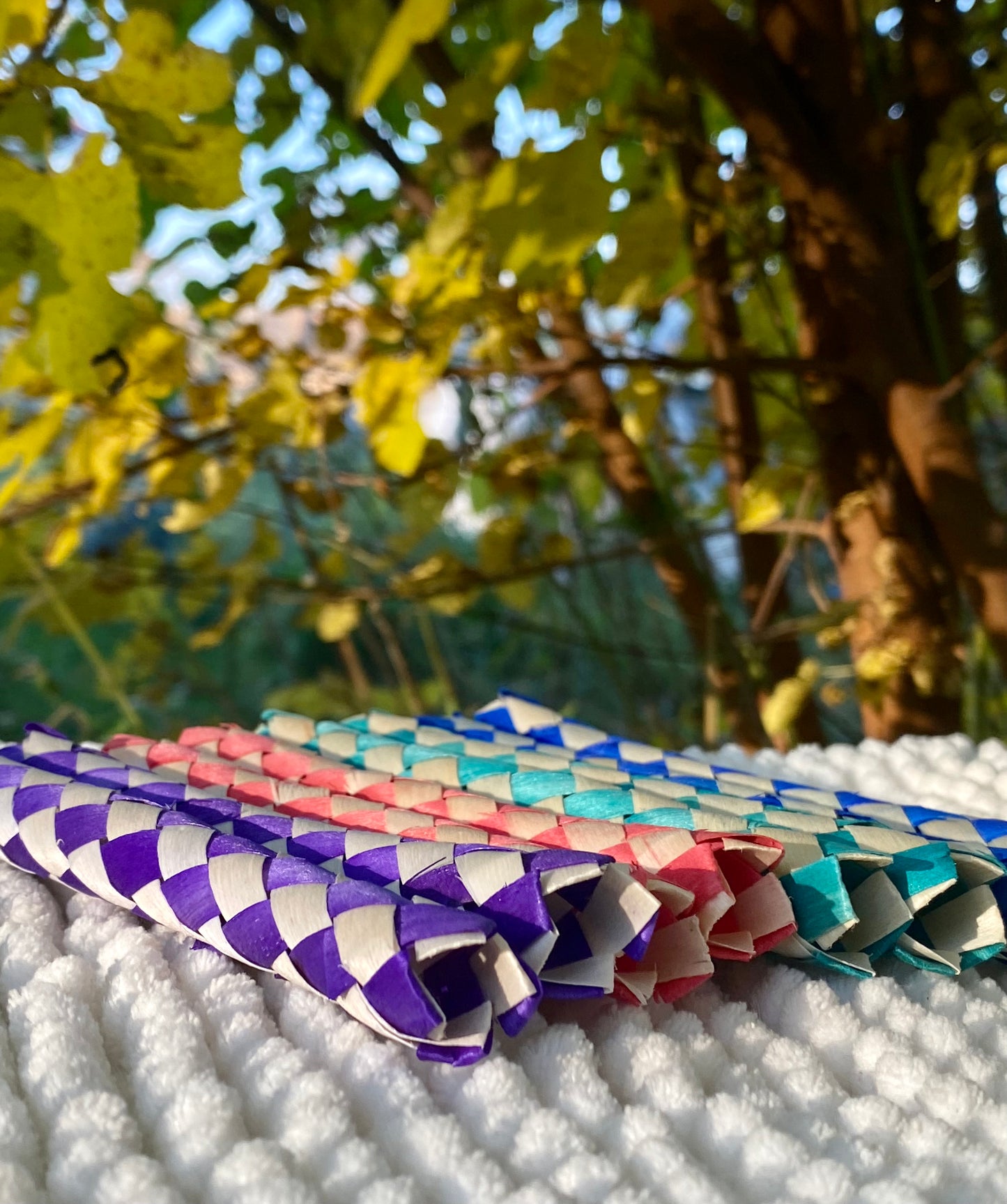 Bamboo chewing tubes