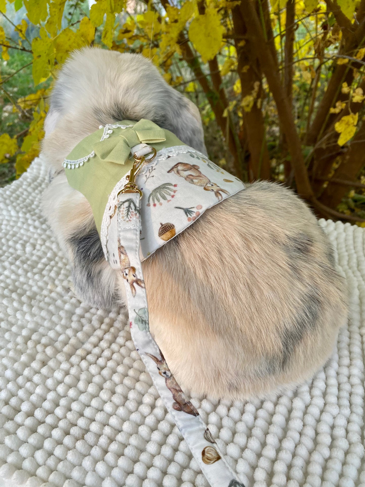 Luxurious harness