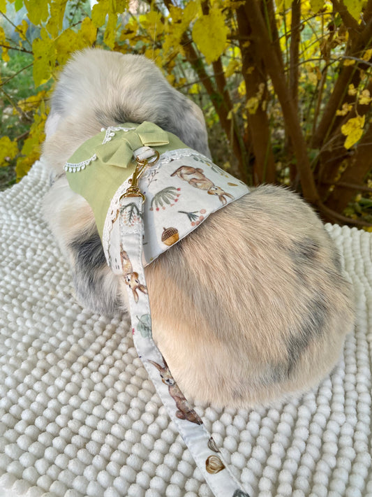 Luxurious harness