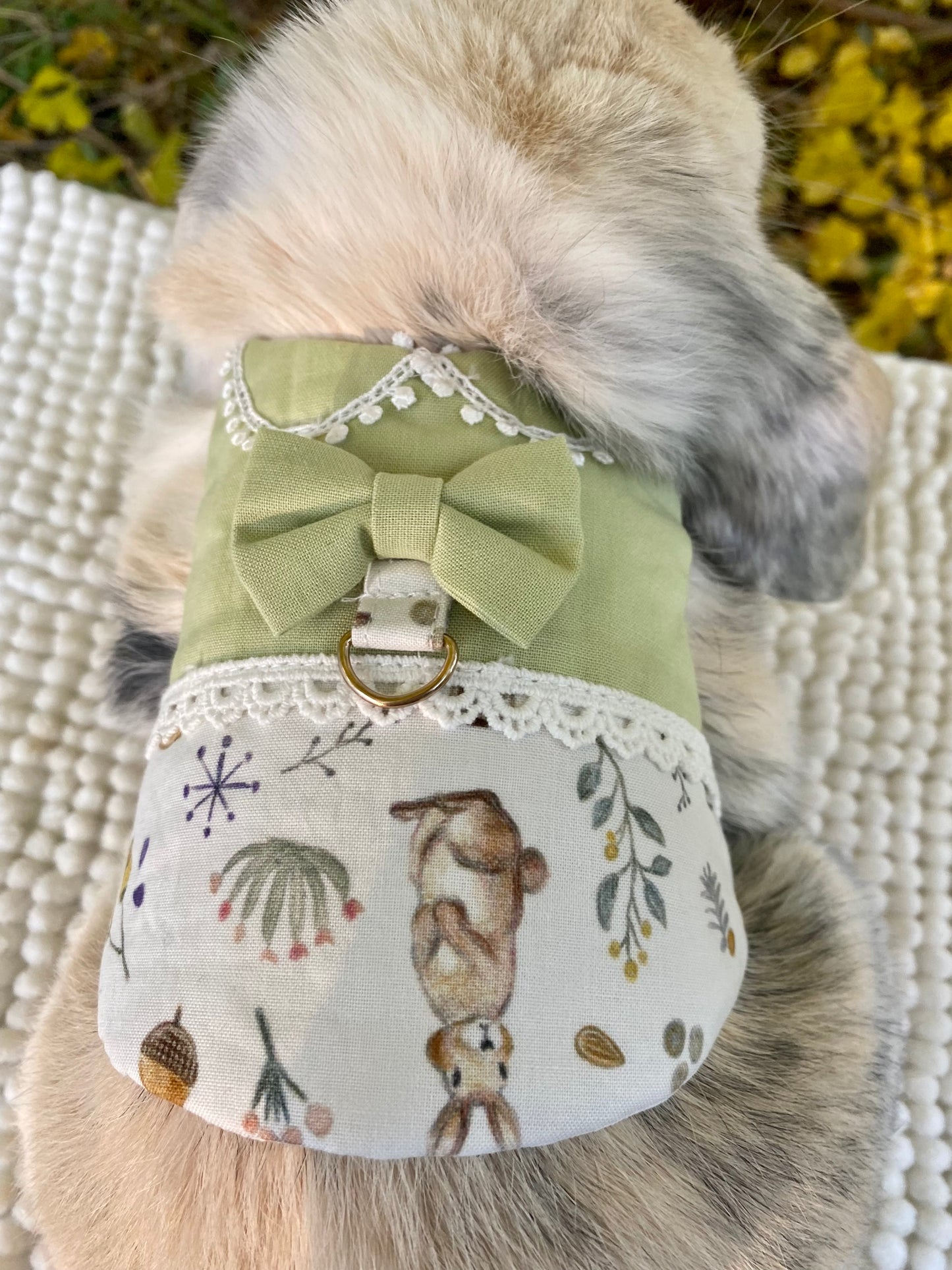 Luxurious harness