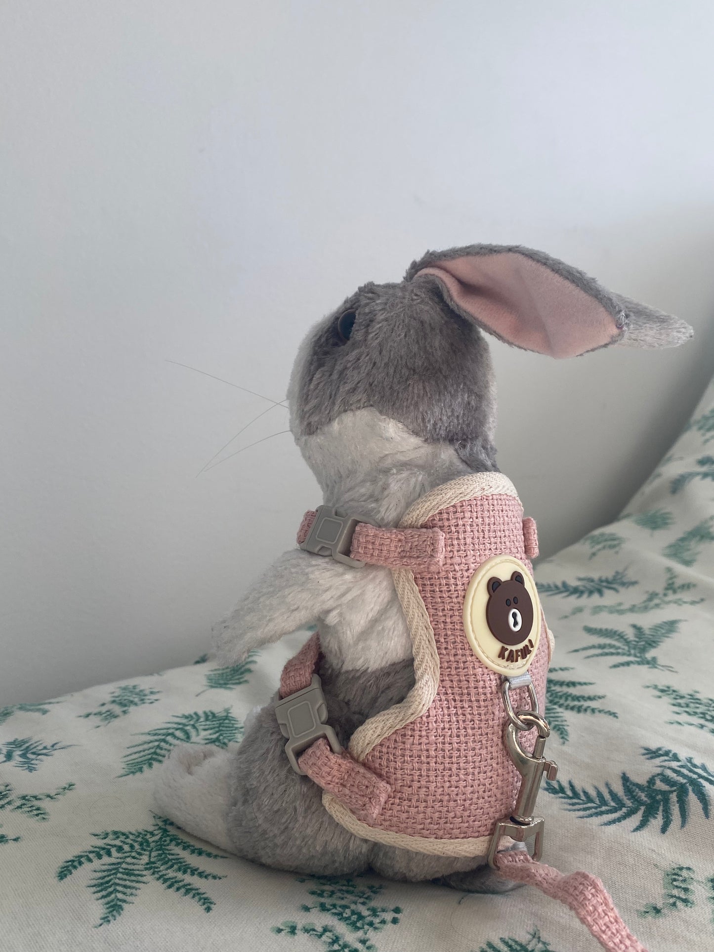 Rabbit harness
