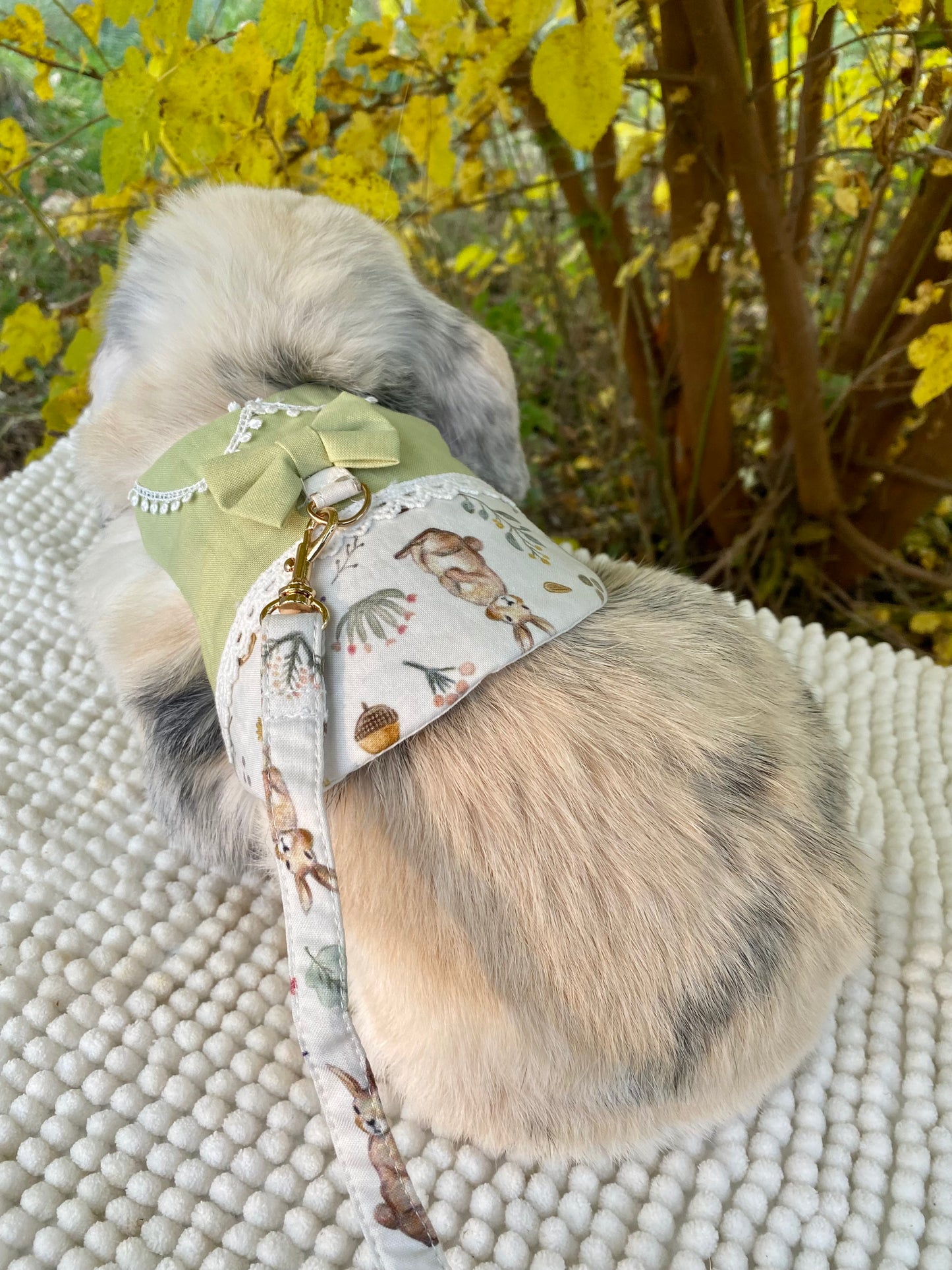 Luxurious harness