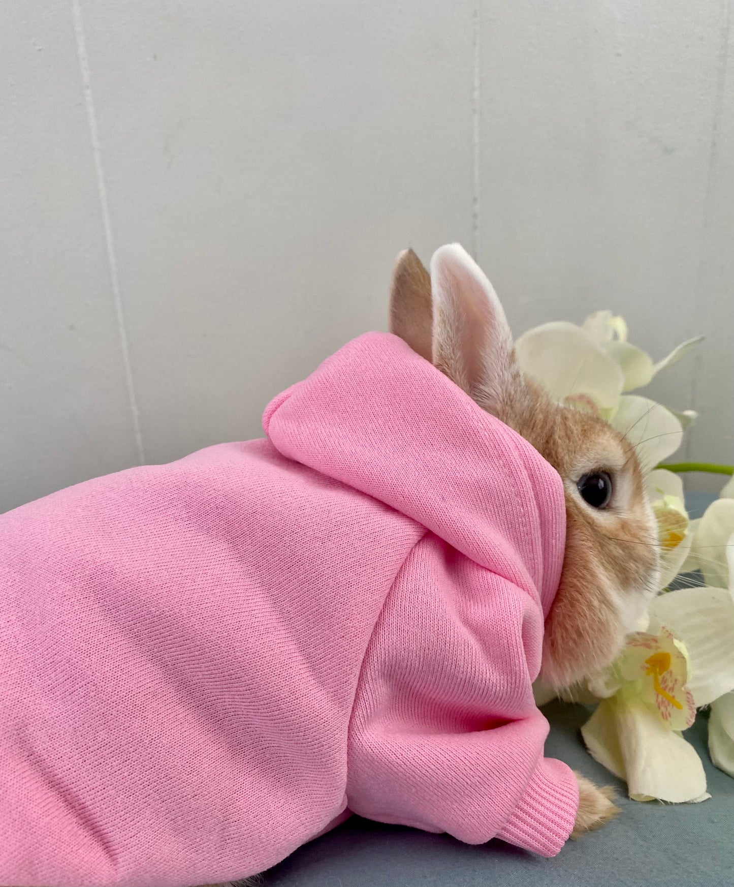 Trendy bunny hoodie
