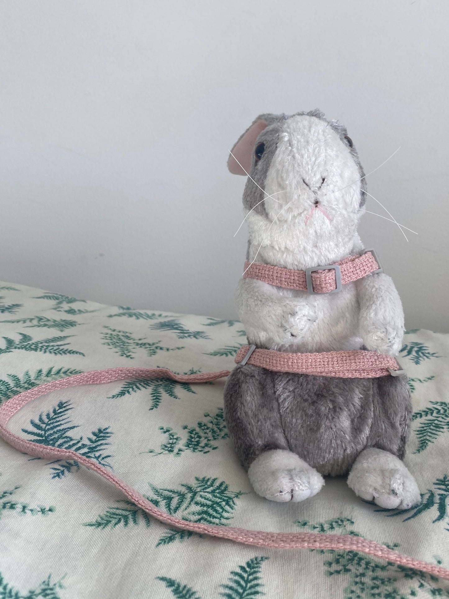 Rabbit harness