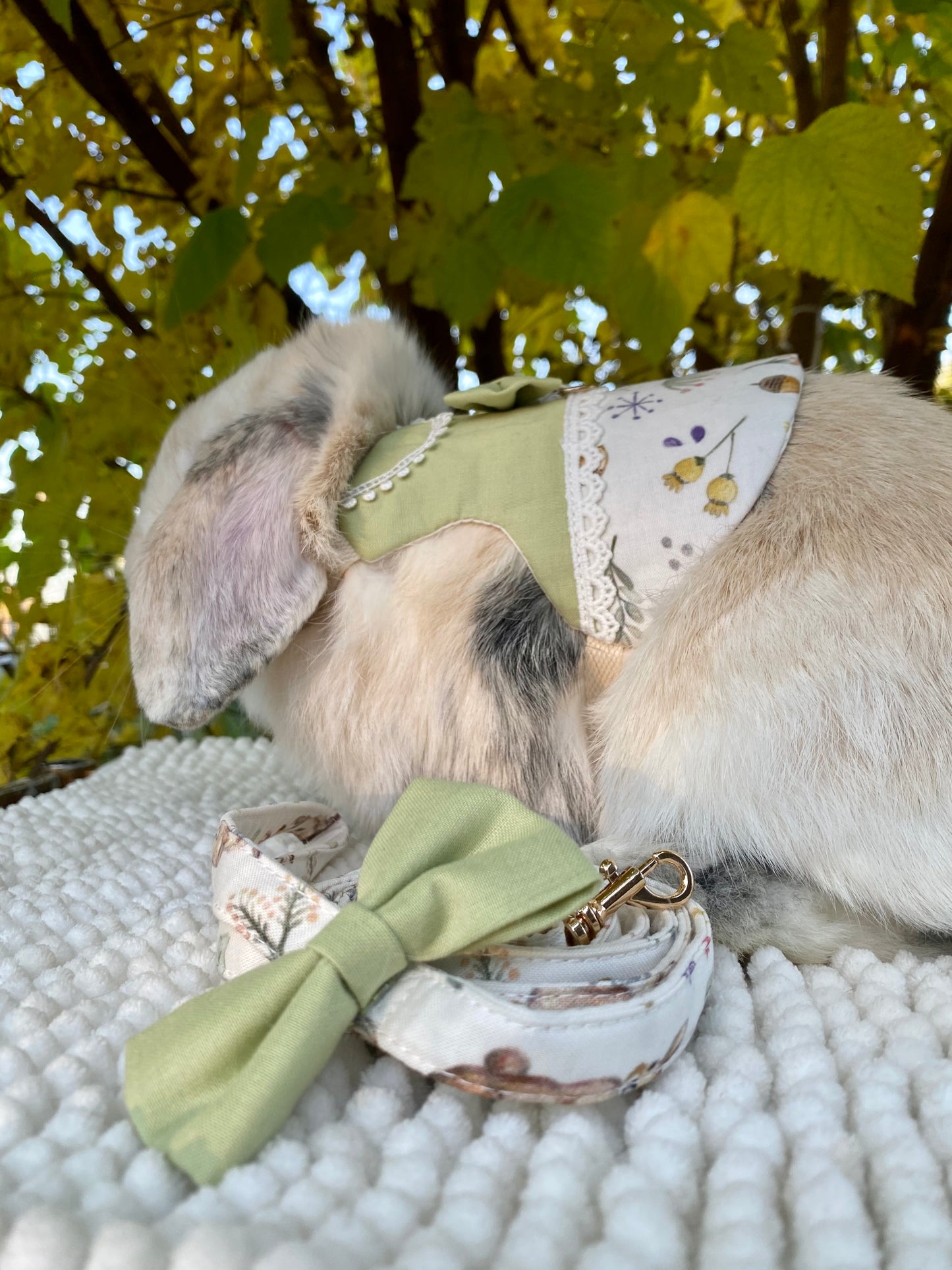 Luxurious harness
