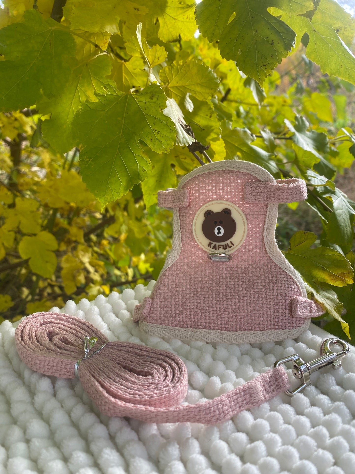 Rabbit harness