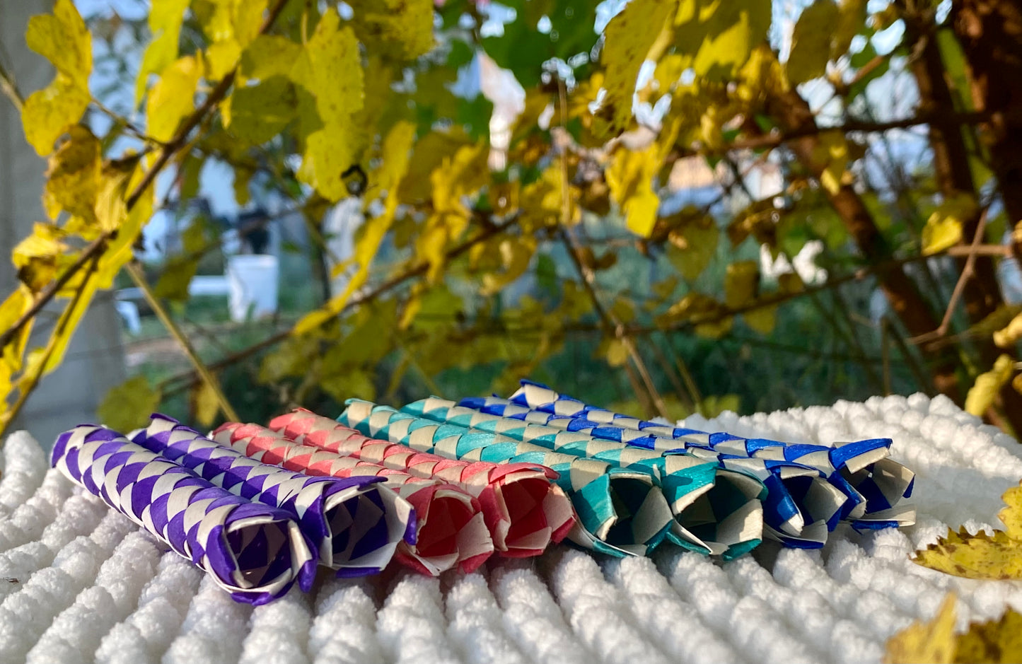 Bamboo chewing tubes