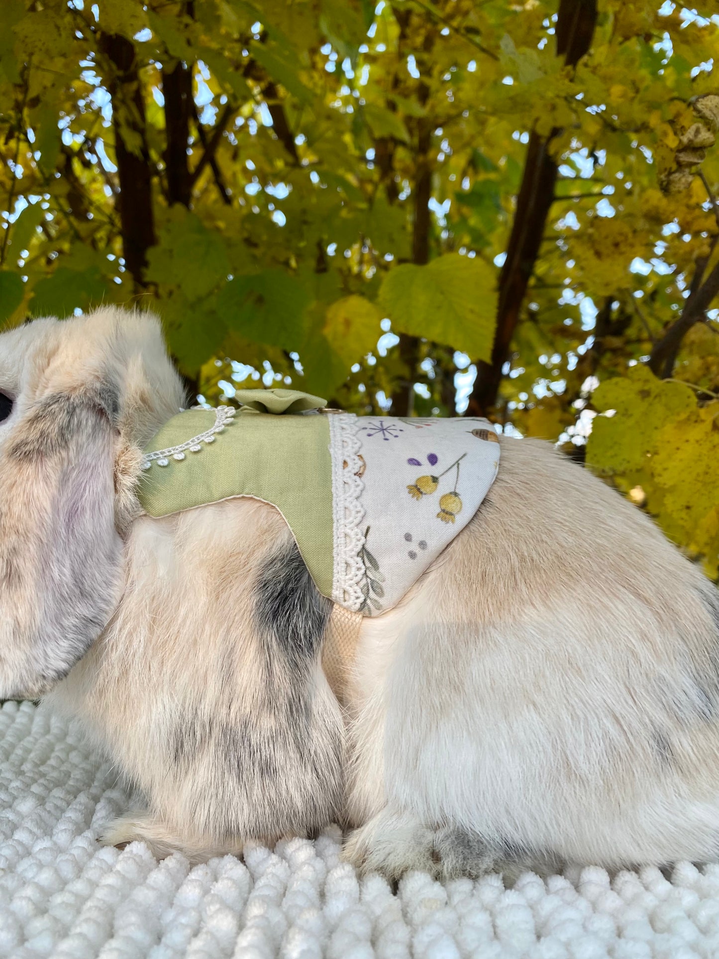 Luxurious harness