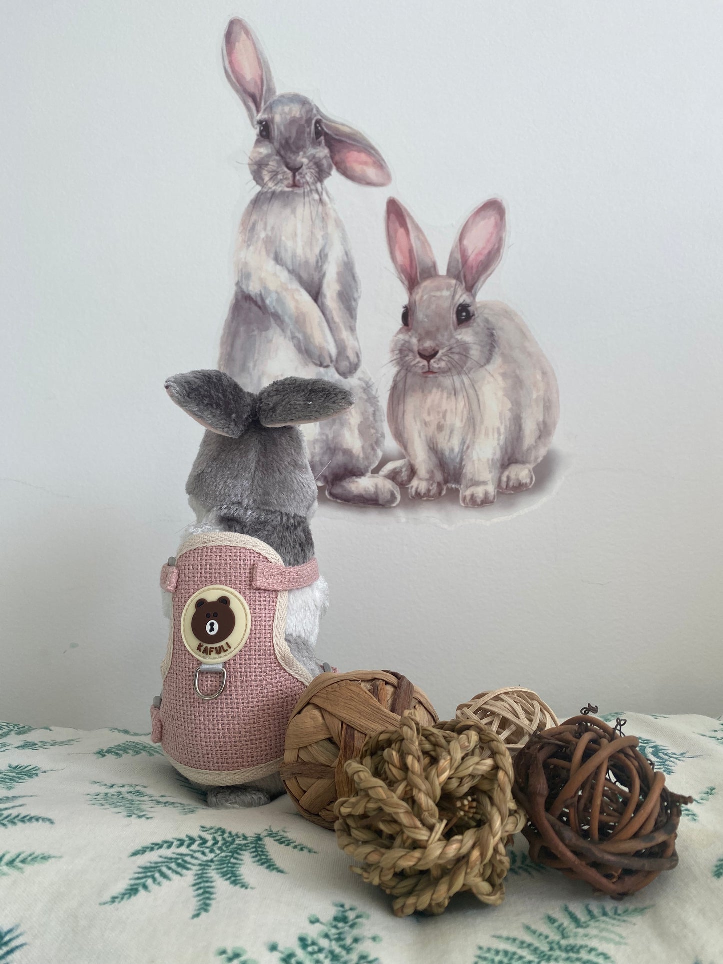 Rabbit harness