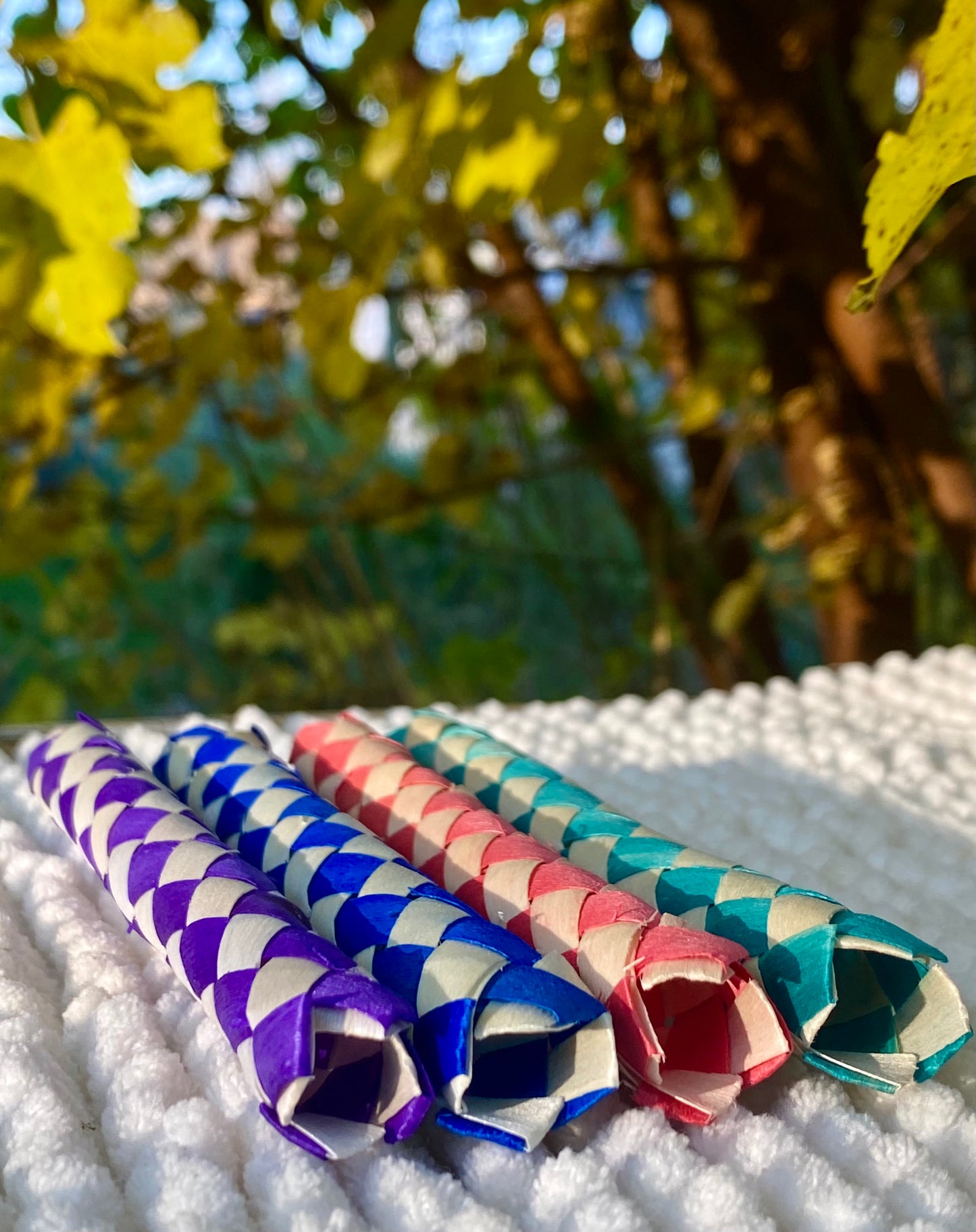 Bamboo chewing tubes