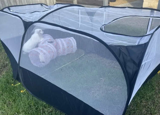 Enclos extérieur de luxe pour lapin