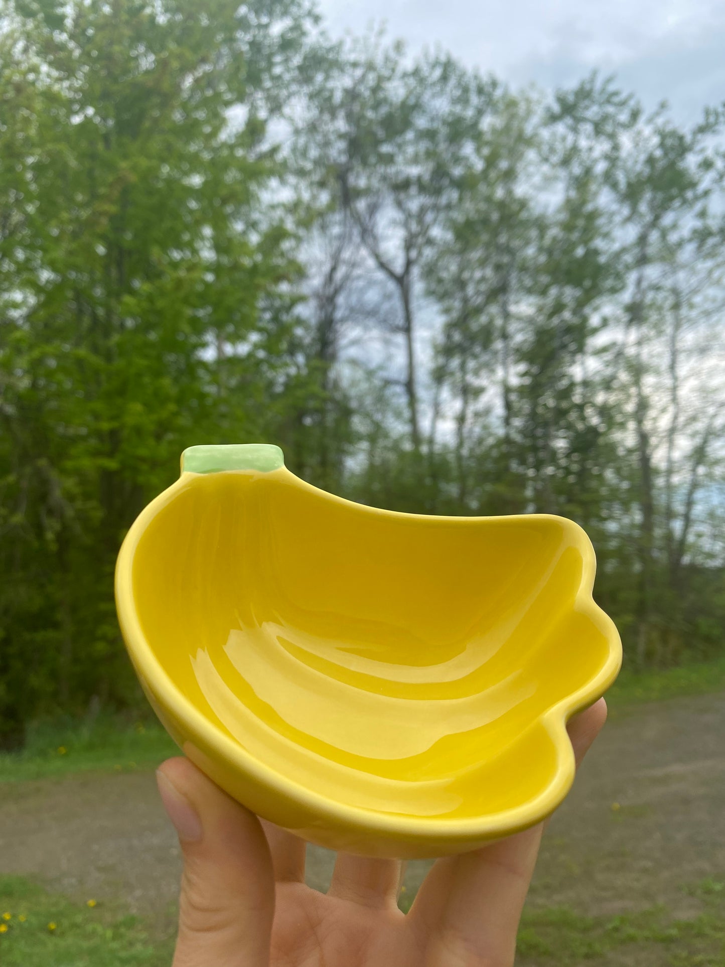 Banana shaped bowl - painted by hand
