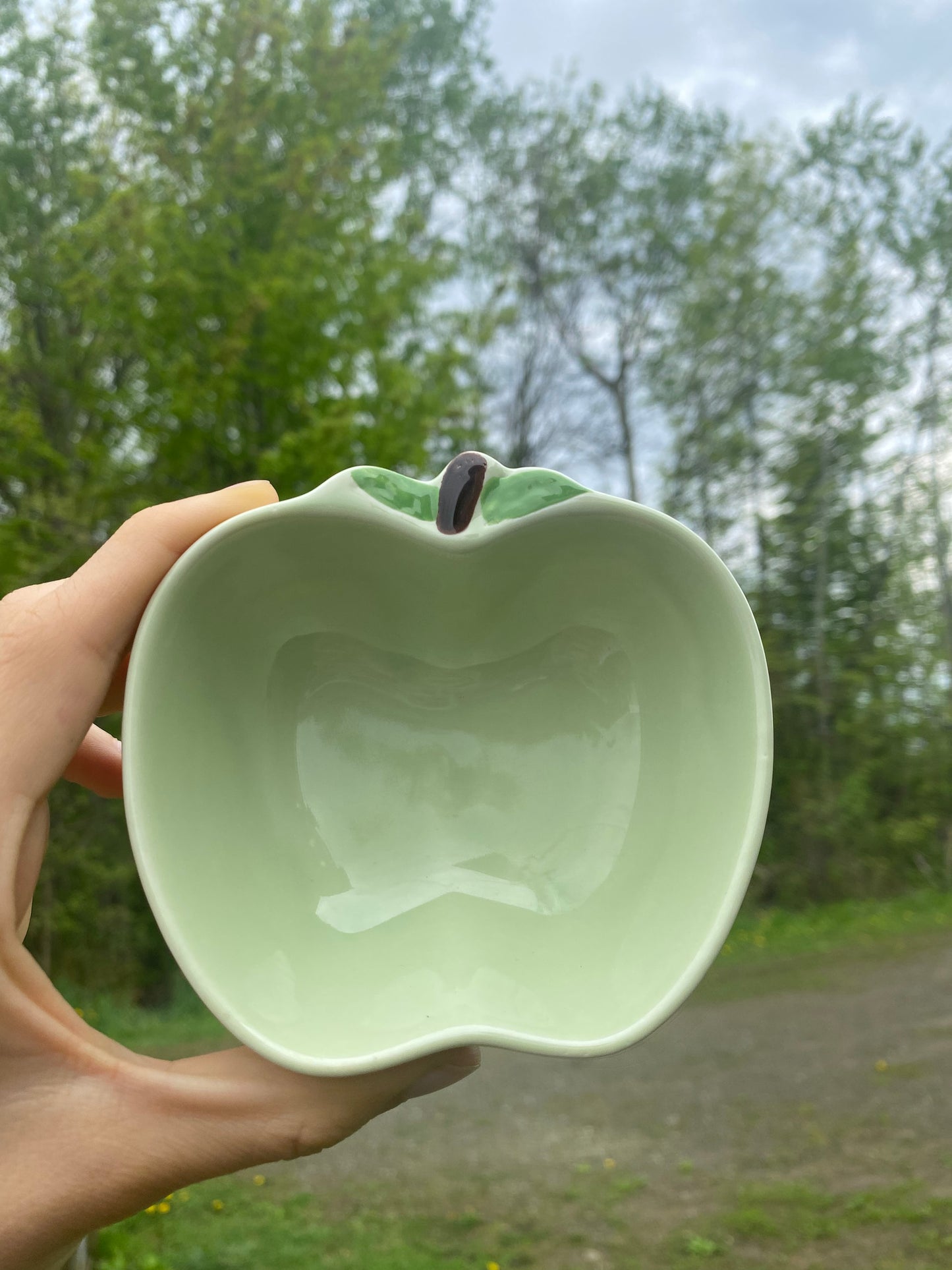 Apple shaped bowl - painted by hand