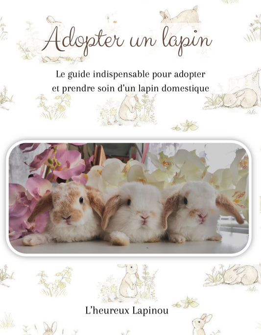New Adopter's Guide