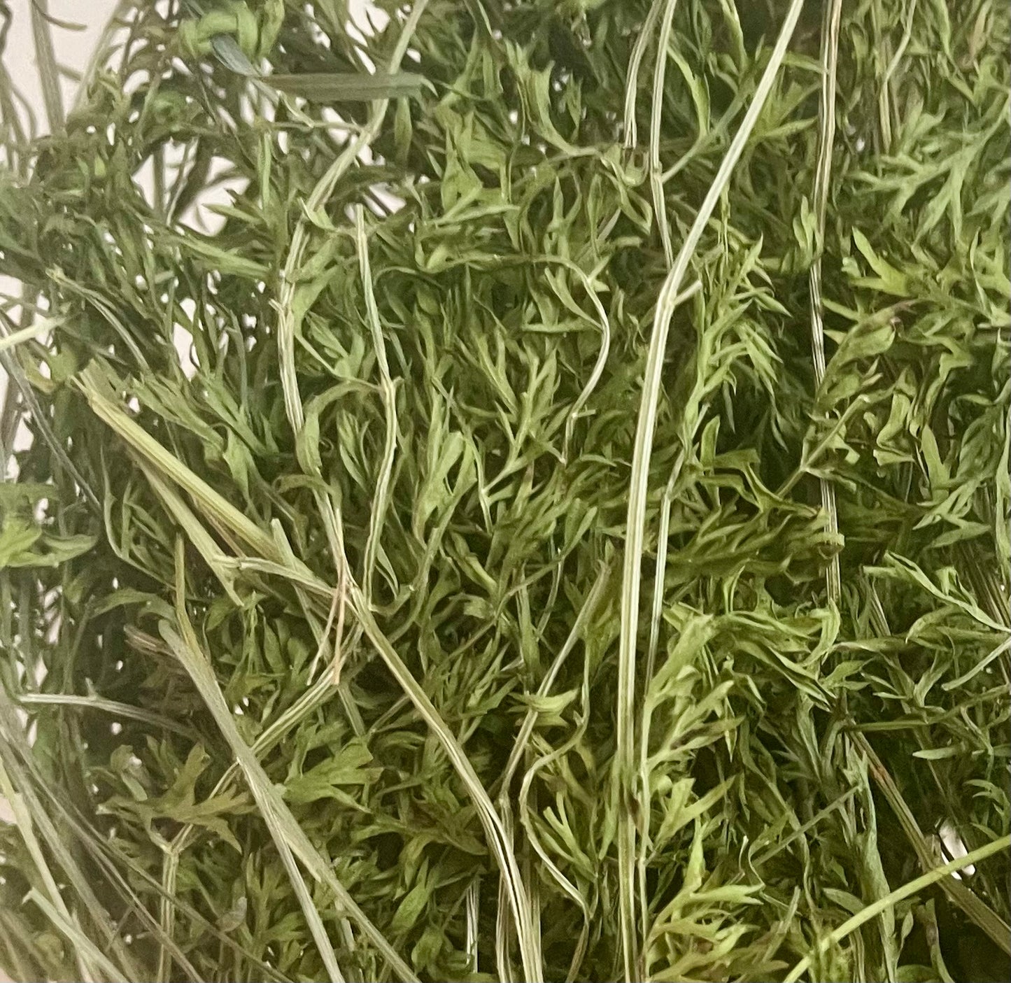 Fanes (feuilles) de carotte déshydratées - Produit du Québec