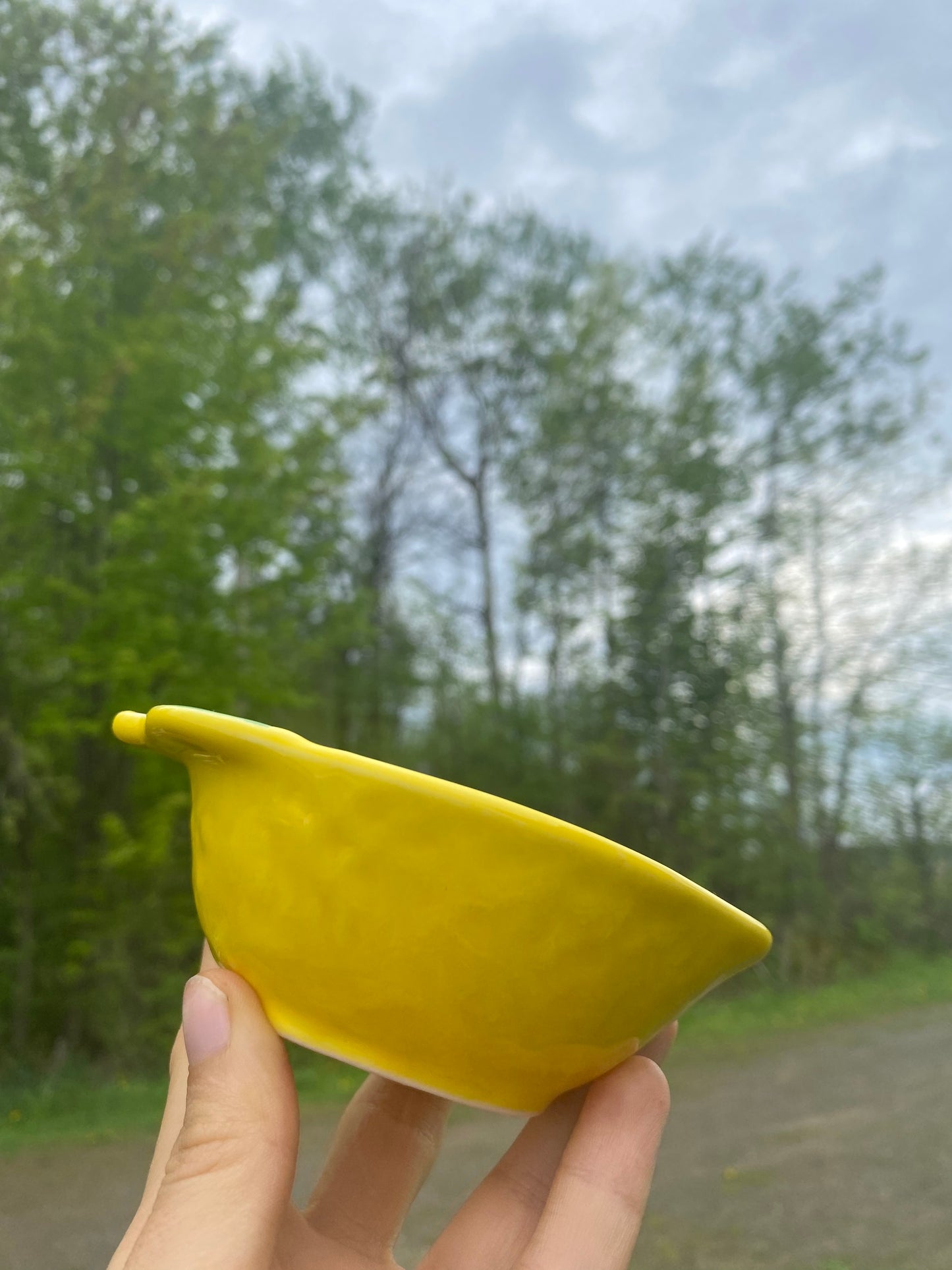 Bol en forme de citron - peint à la main