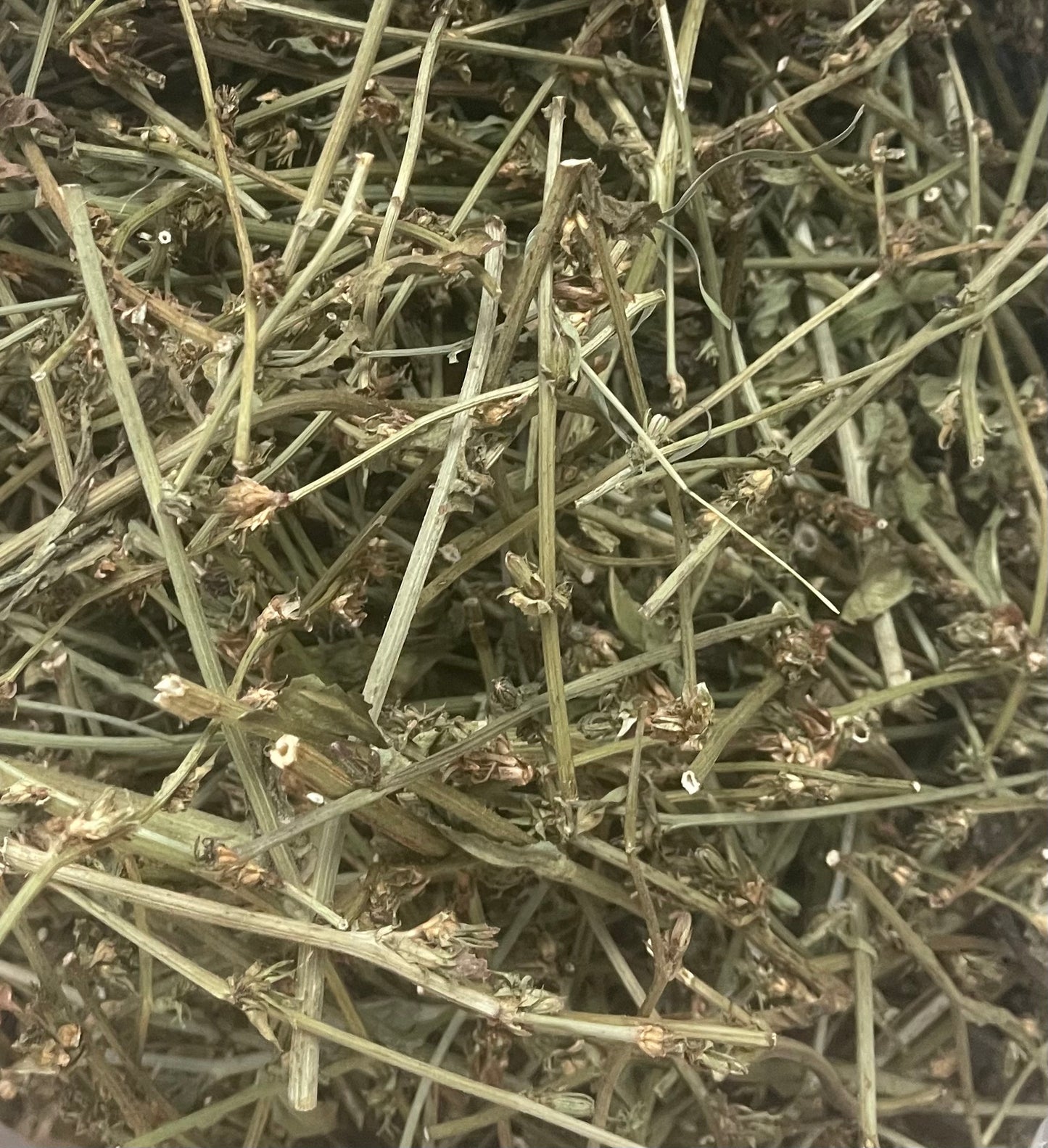 Tiges de chicorée déshydratées - Produit du Québec