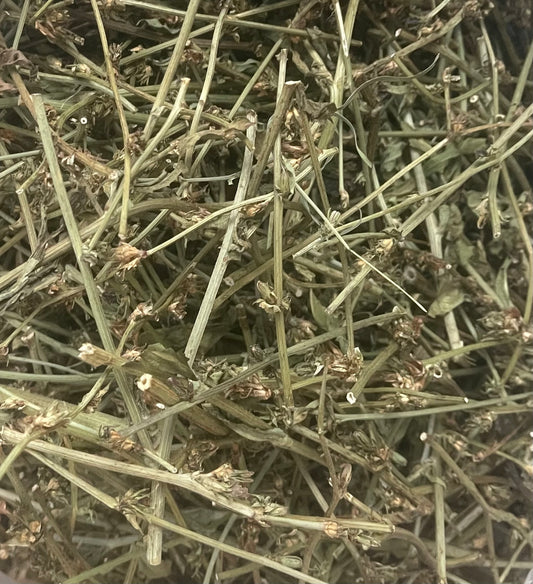 Tiges de chicorée déshydratées - Produit du Québec