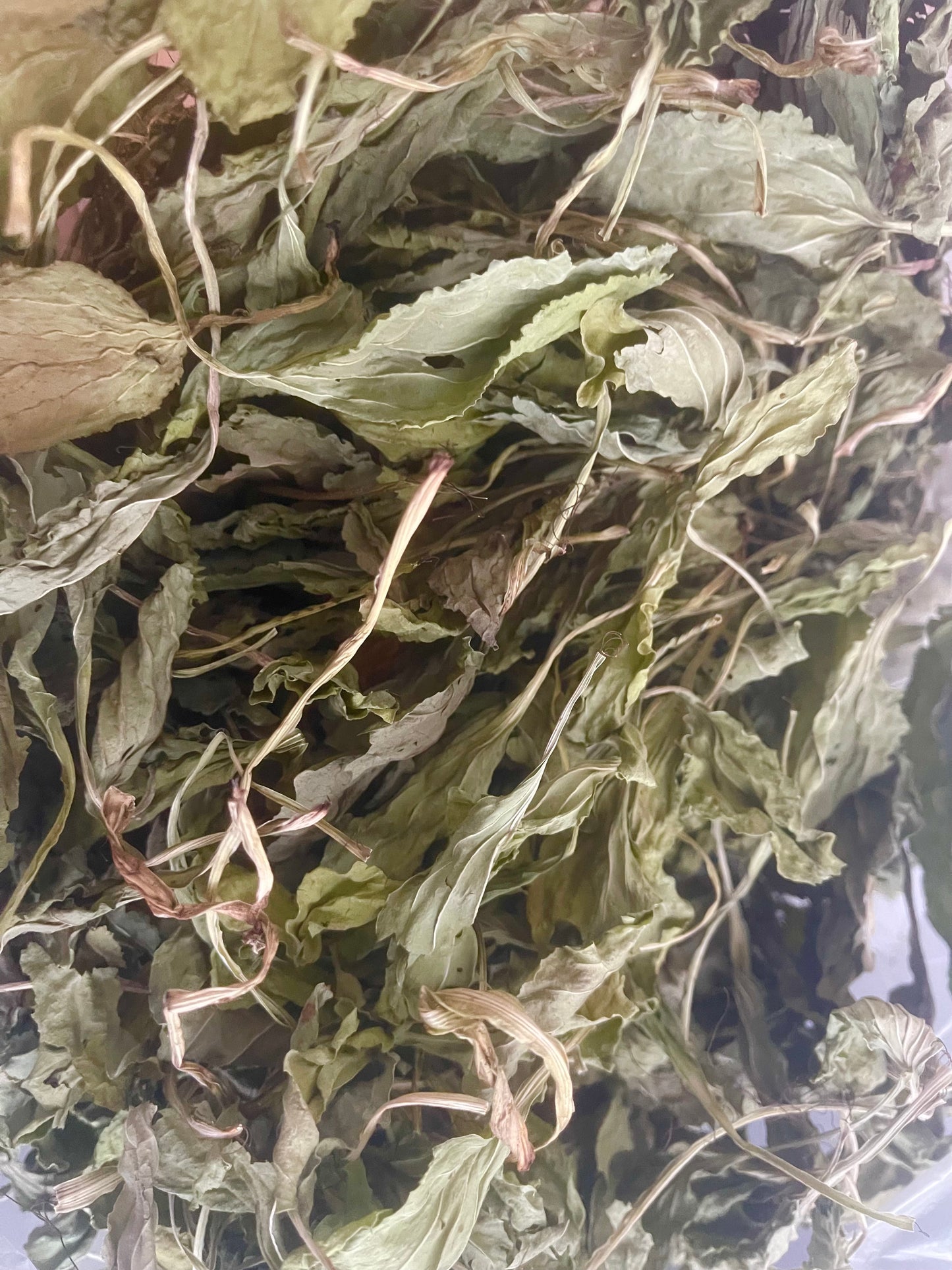 Plantain déshydraté - Produit du Québec