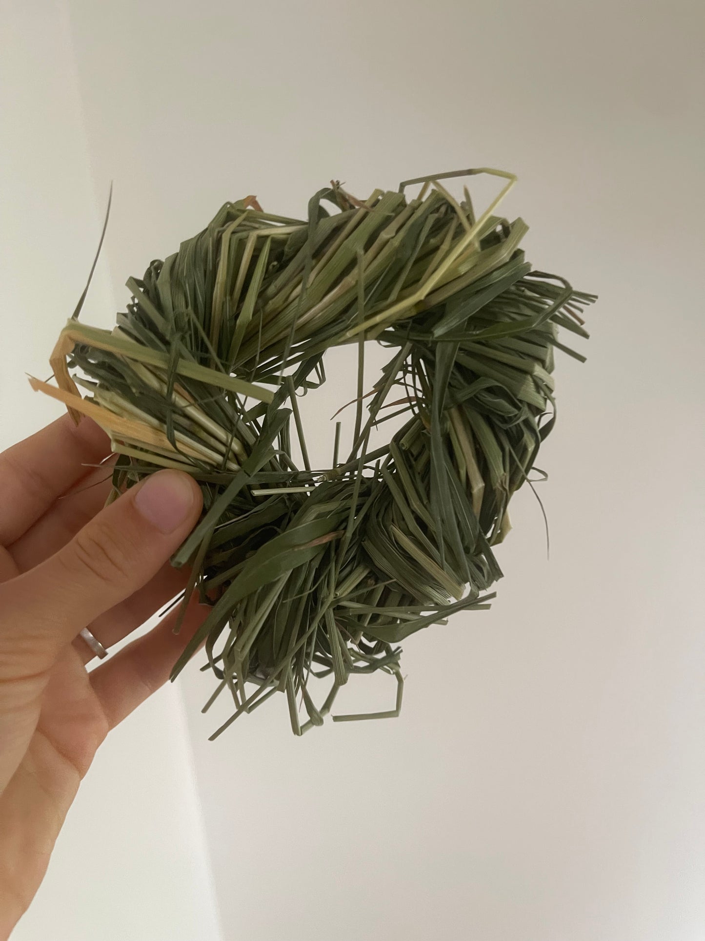Anneau de foin de dactyle