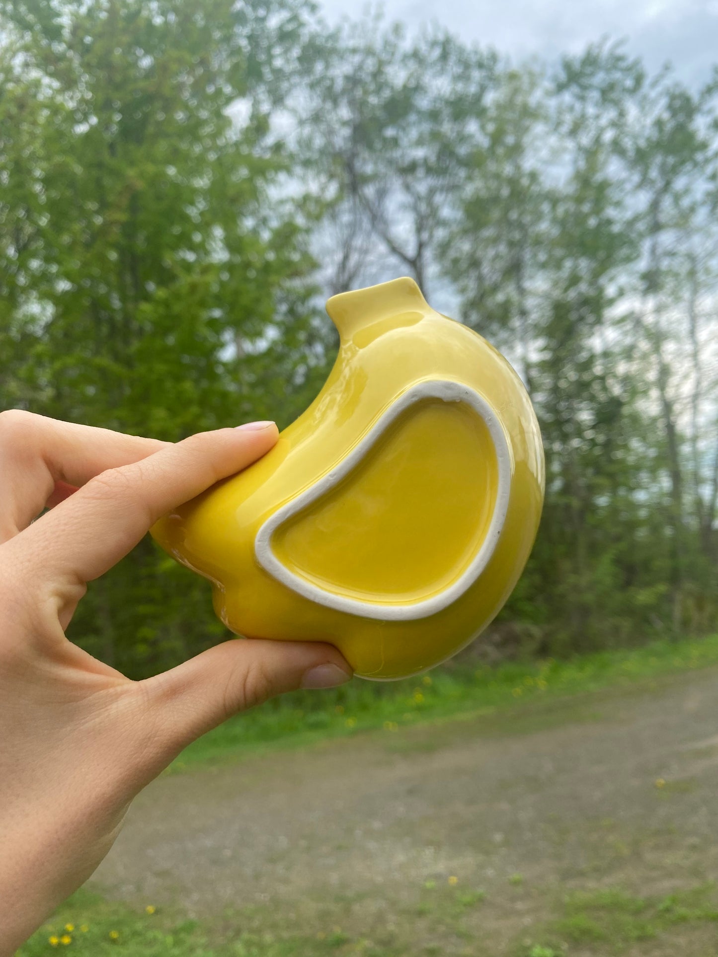 Banana shaped bowl - painted by hand