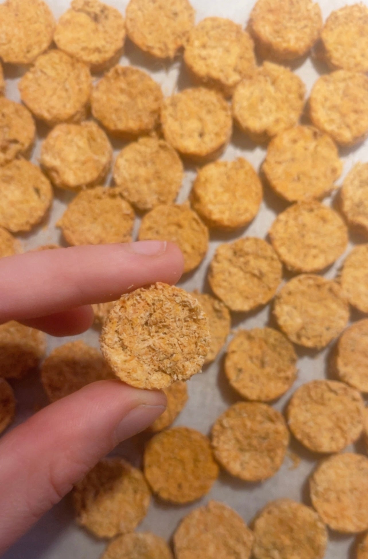 Médaillons aux carottes (100% carottes)