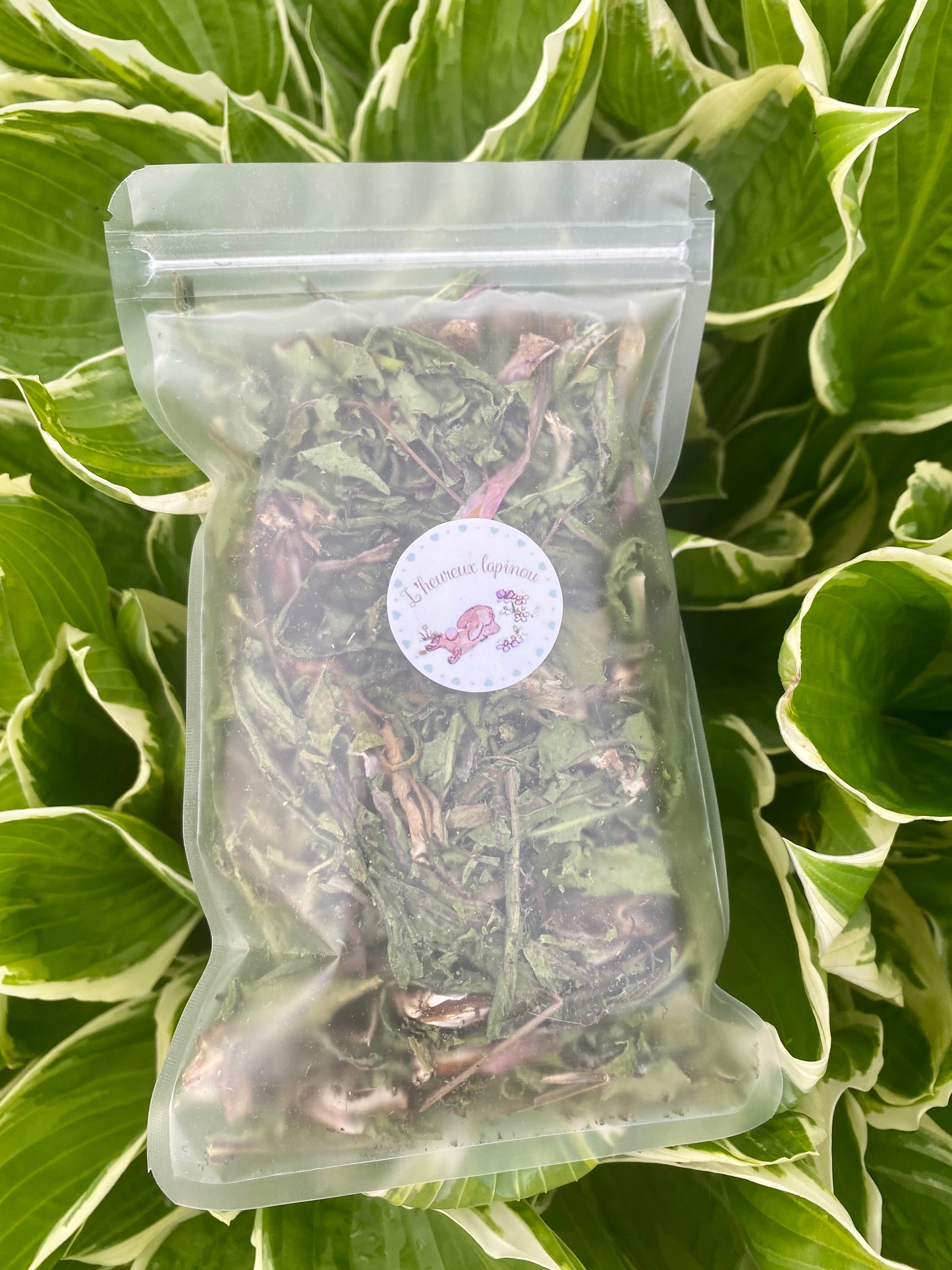 Dandelion leaves 100% natural treat - Product of Quebec 