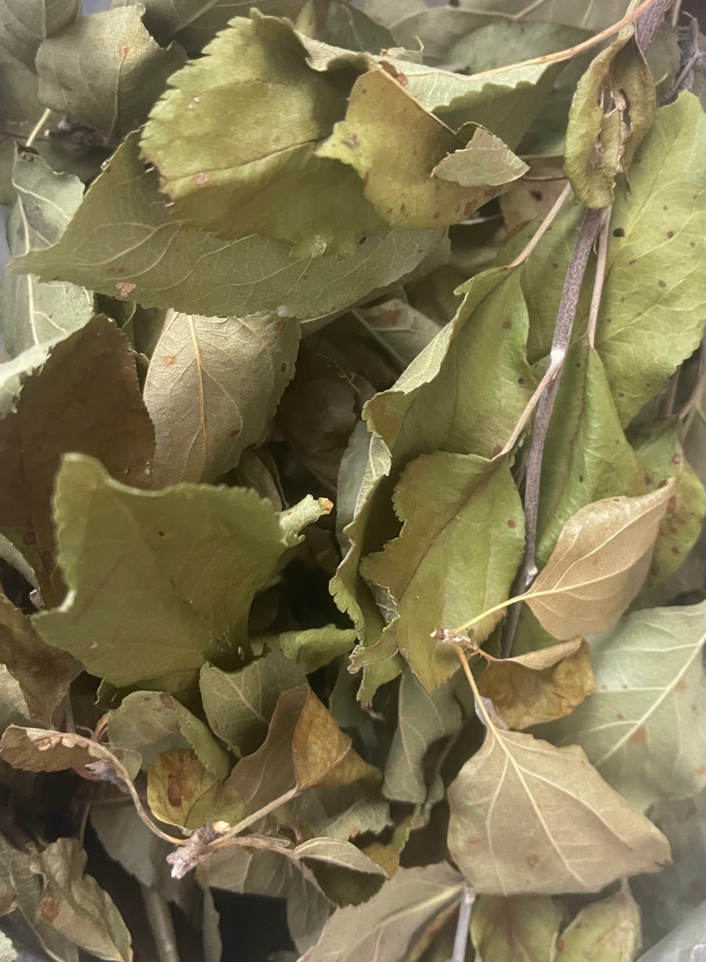 Trio d’herbes déshydratées (saule, poirier, mûrier)