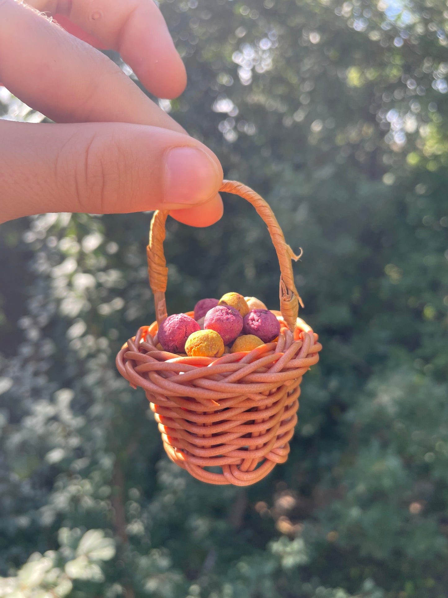 Mini bouchées d’automne