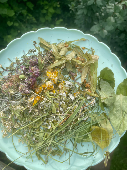 Mix digestif herbes du Québec