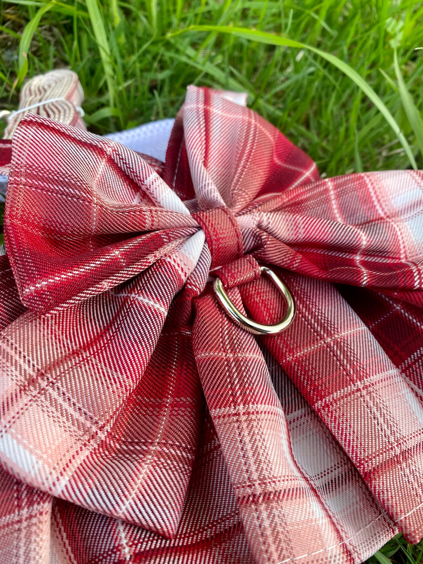 Luxury harness - red bow