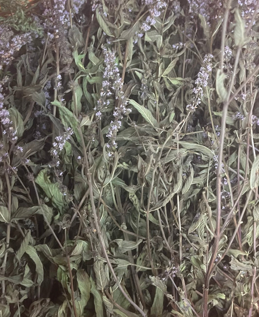 Menthe déshydratée - Produit du Québec