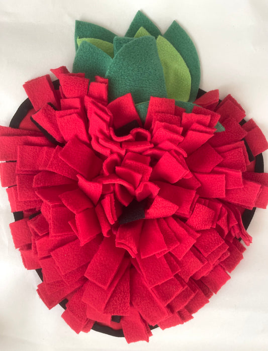 Tapis fouille fraise